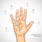 Palmistry Infographics