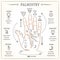 Palmistry mystical reading vector illustration