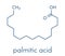 Palmitic hexadecanoic acid saturated fatty acid molecule. Skeletal formula.