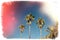 Palms against vibrant blue sky on Spain Barcelona vintage film effect