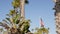 Palms and american flag, Los Angeles, California USA. Summertime aesthetic of Santa Monica and Venice Beach. Star