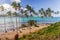 Palms at a beach in Las Galeras, Dominican Republ