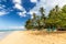 Palms on a beach in Las Terrenas, Dominican Republ