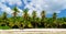 Palms on caribbean sea coastline, Saona