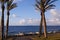 Palms, coast of Mediterranean Sea, playing children, run above big stones