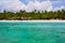 Palms coastline on caribbean beach, Island Saona
