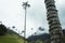 Palms Cocora Valley Mountain Clouds Stunning Foggy Palm Trees