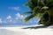 Palms on empty idyllic tropical sand beach