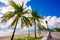Palms on Fort Lauderdale Beach Summer 2023