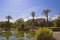 Palms and fountain in Kugulu park - Kemer, Turkey