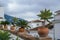 Palms and house plants in the pots standing over the roof at traditional mediterranean white spanish village, Mijas