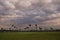 Palms landscape in La Estrella Marsh, Formosa