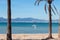 Palms, Mediterranean sea and flying seagull at the beach of Arenal, Majorca