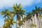 Palms and modern buildings of Miami Beach.