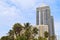 Palms and modern buildings of Miami Beach waterfront.