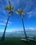 Palms and ocean in Hawaii