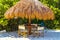 Palms parasols sun loungers beach resort Playa del Carmen Mexico