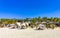 Palms parasols sun loungers beach waves Puerto Escondido Mexico