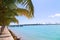 Palms in a row with symmetrical shadows along waterway in Miami Beach, Florida, USA.