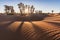 Palms on the Sahara desert, Merzouga, Morocco Colorful sunset in the desert above the oasis with palm trees and sand dunes.