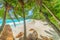 Palms by the sea in Anse Lazio beach