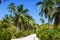 Palms Seychelles La Digue path vacation holidays paradise symbolic image palm