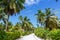 Palms Seychelles La Digue path vacation holidays travel paradise symbolic image palm