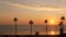 Palms and sunset sky, California aesthetic. Los Angeles vibes. Lifeguard watchtower, watch tower hut