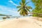 Palms and white sand in Anse Boudin