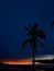 Palmtree contrast, Beach Paradise, Puerto Viejo