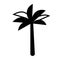 Palmtree flat illustration on white