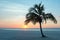 Palmtree at Palm Beach in Aruba in the Caribbean