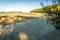 Palmtree shadows on the beach in Australia