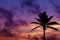 Palmtree silhouette on sunrise in tropic