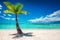 Palmtree and tropical beach. Dominican Republic.