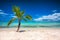 Palmtree and tropical island beach in Caribbean sea