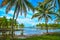 Palmtrees on the coast of Sumatra