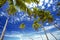 Palmtrees and sky, maldives