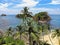 Palmtrees on the tropical beaches of Panama