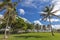 Palmtrees under the wind in a sunny day. Miami Beach, Florida