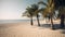 Palmy Trees Enhance the Natural Splendor of a Sandy Beach, Captivating the Senses