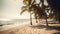 Palmy Trees and a Sandy Beach Enchant with Natural Beauty