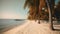 Palmy Trees and Sandy Beach Merge in a Breathtaking Display of Natural Beauty