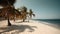 Palmy Trees and a Sandy Beach Open the Doors to Paradise