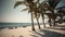 Palmy Trees and a Sandy Beach for Tranquility Seekers