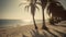 Palmy Trees Witness Joyful Memories on the Sandy Beach