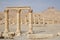 Palmyra - ruins of the 2nd century AD