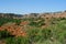 Palo Duro Canyon