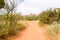 Palo Duro Canyon system of Caprock Escarpment located in Texas P