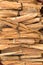 Palo santo closeup